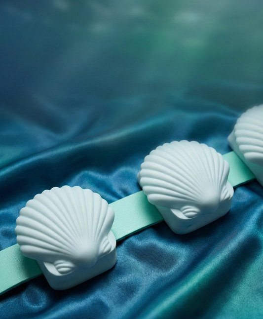 Shell Yah Dive Weight Covers (2 Pieces)